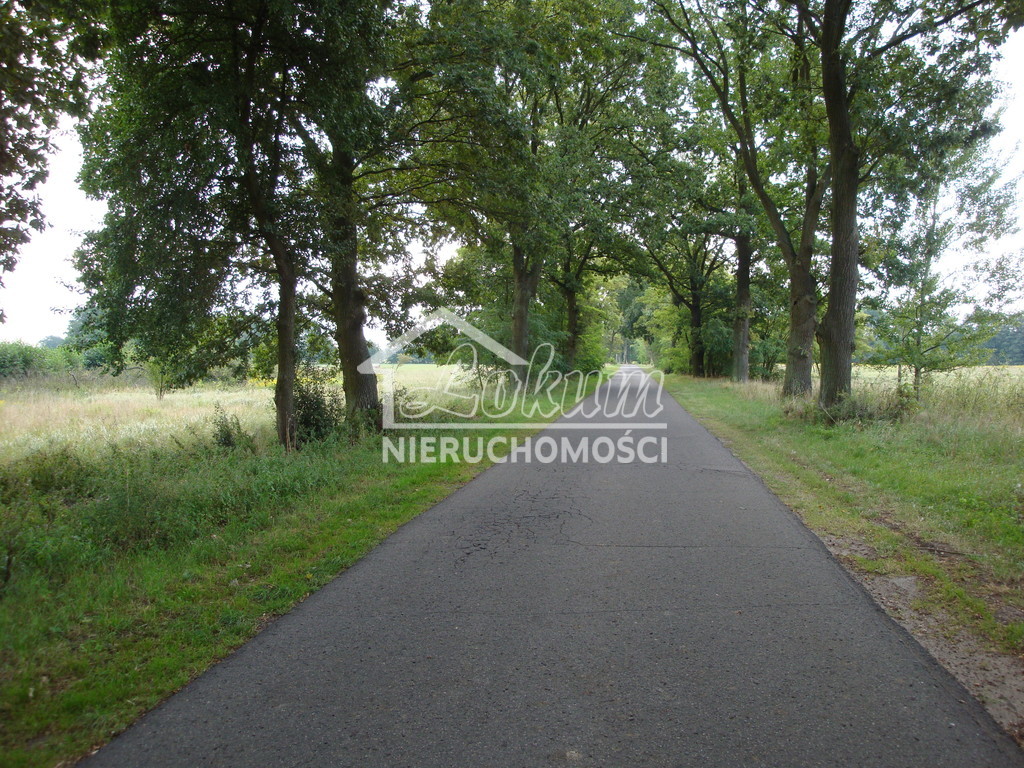 Działka budowlana 1102&nbsp;m², Rzędziny - zdjęcie 6