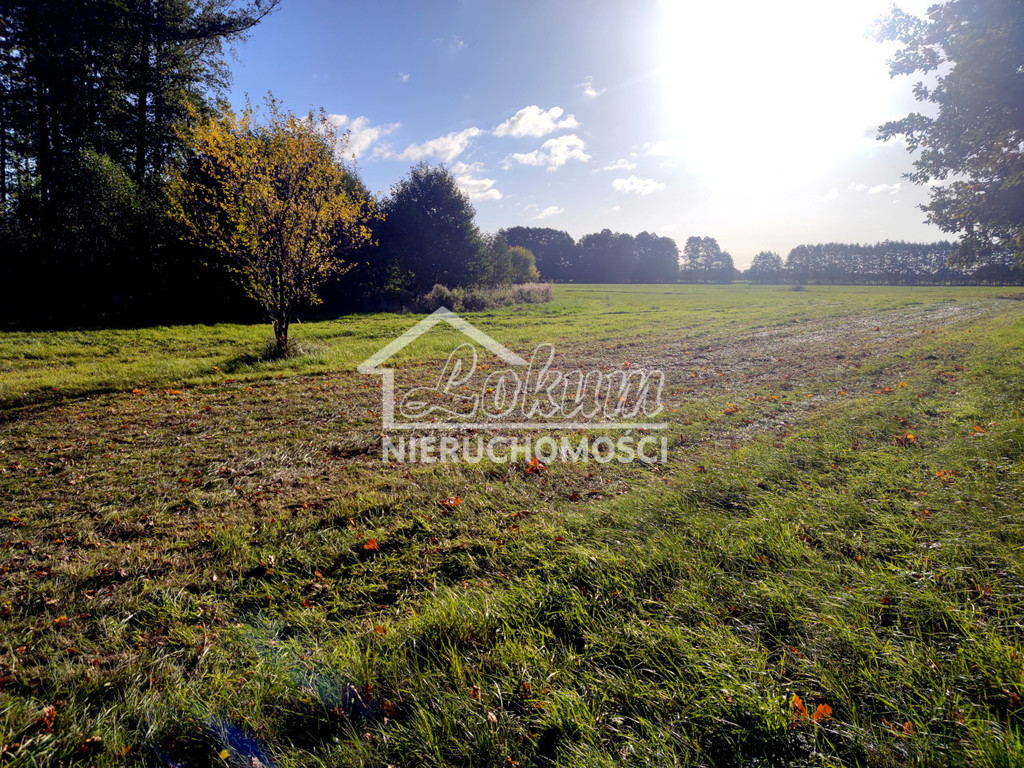 Działka budowlana 1102&nbsp;m², Rzędziny - zdjęcie 4