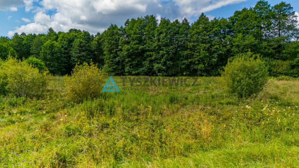 Działka produkcyjno-usługowa Rybaki Kościerzyna - zdjęcie 9