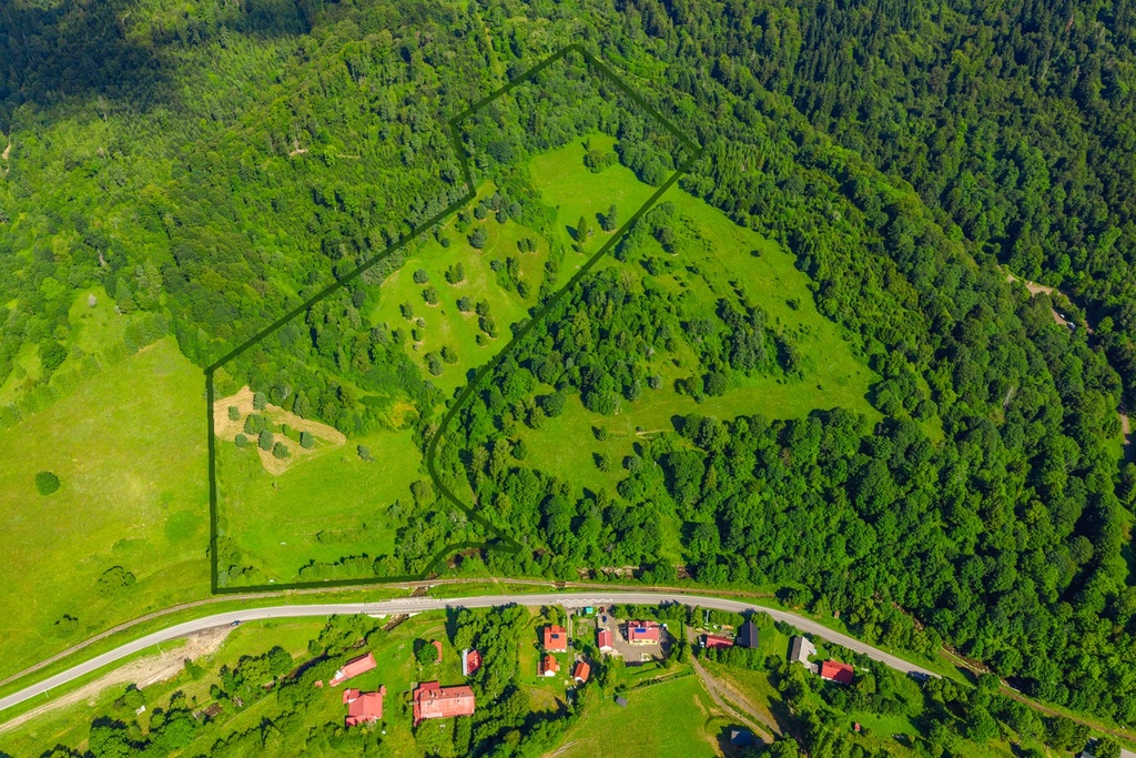 Działka gospodarstwo 7,00&nbsp;ha, Żubracze - zdjęcie 6