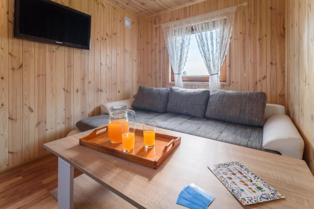 Ranczo Natura Wiele Wybudowanie na sprzedaż. - zdjęcie 3