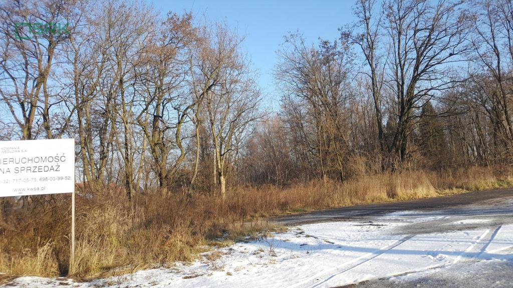 Działka inwestycyjna 9244 m², Brzeszcze, Krasickiego i Drobniaka - zdjęcie 3