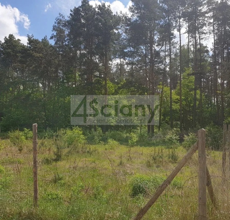 Działka rolna 2000 m², Strzeniówka - zdjęcie 1