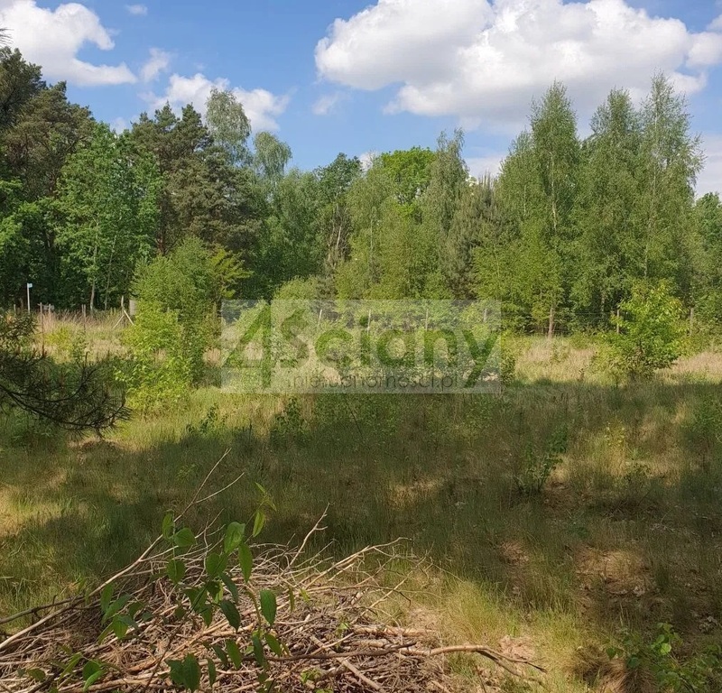 Działka rolna 2000 m², Strzeniówka - zdjęcie 2