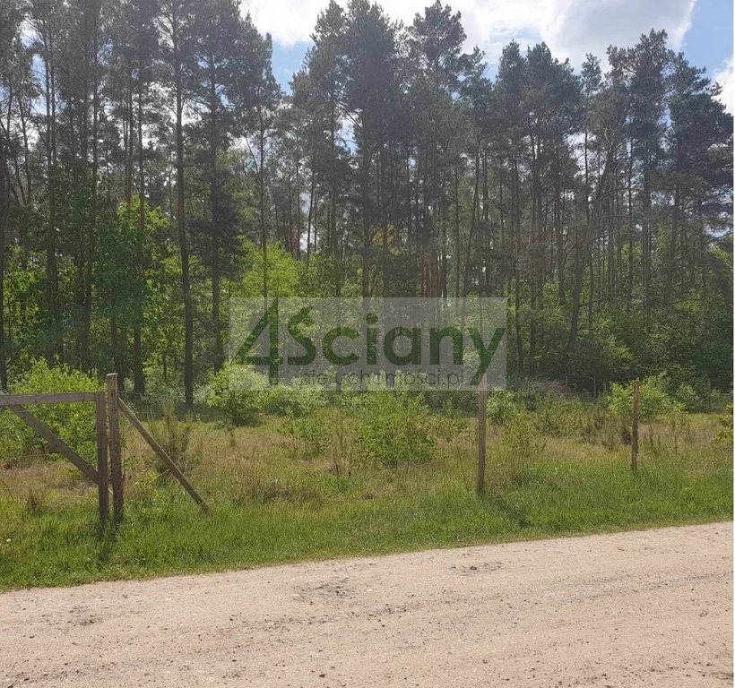 Działka rolna 2000 m², Strzeniówka - zdjęcie 3