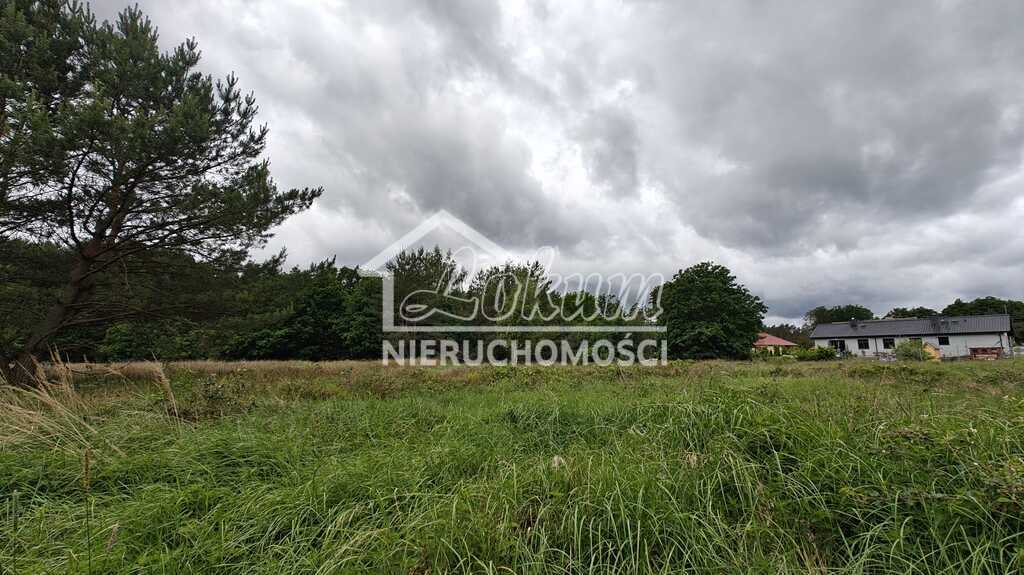 Działka gospodarstwo 2,25&nbsp;ha, Nowogard - zdjęcie 18