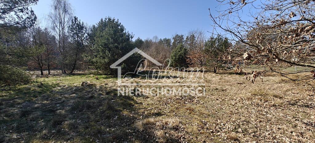 Działka gospodarstwo 2,25 ha, Nowogard - zdjęcie 14