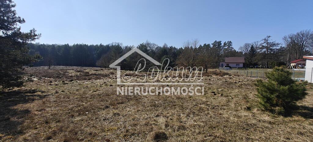 Działka gospodarstwo 2,25 ha, Nowogard - zdjęcie 19