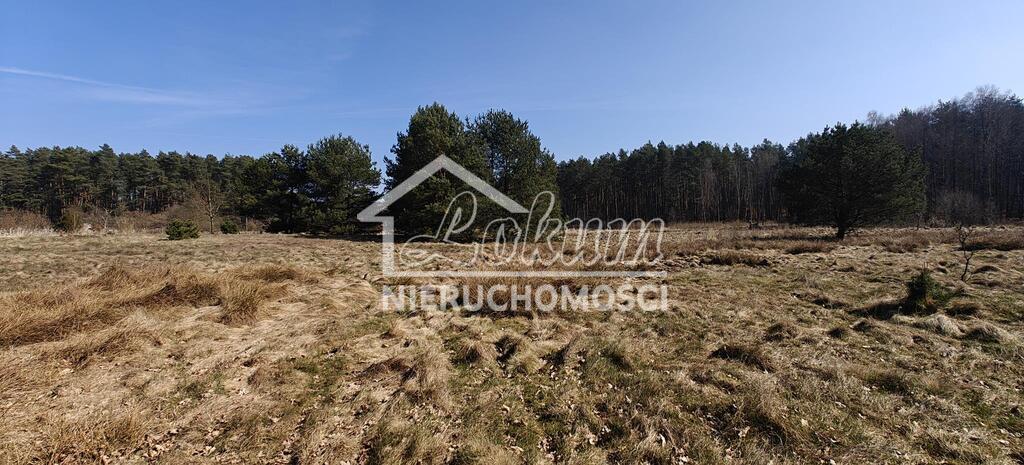 Działka gospodarstwo 2,25 ha, Nowogard - zdjęcie 12