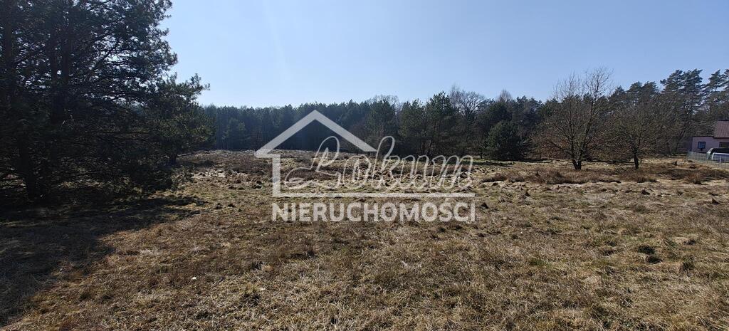 Działka gospodarstwo 2,25 ha, Nowogard - zdjęcie 16