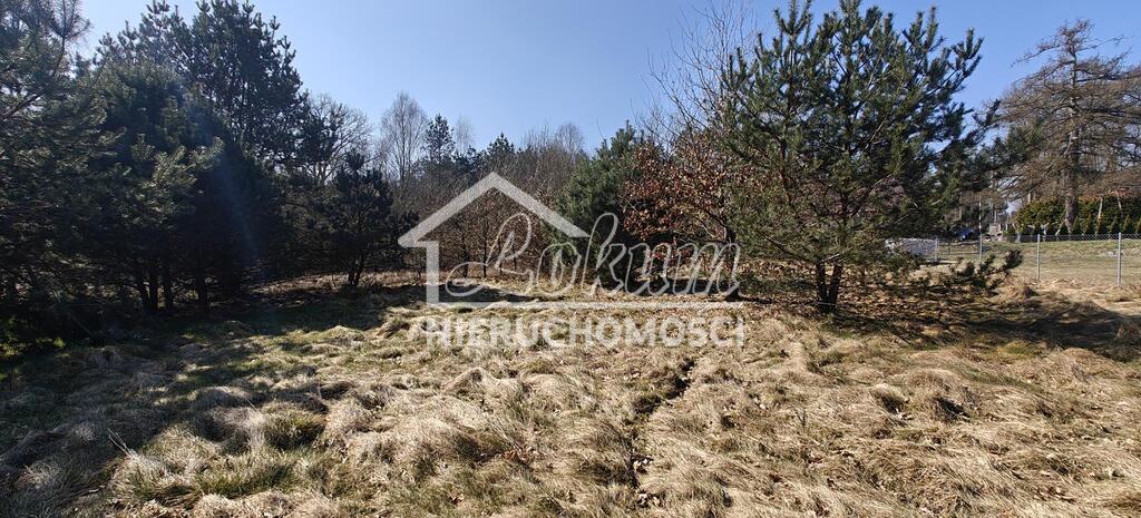 Działka gospodarstwo 2,25 ha, Nowogard - zdjęcie 11