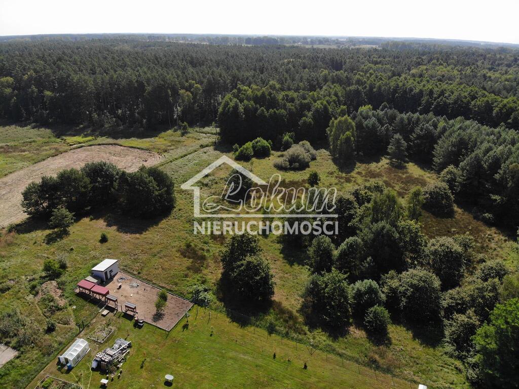 Działka gospodarstwo 2,25 ha, Nowogard - zdjęcie 2