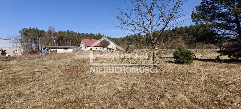 Działka gospodarstwo 2,25 ha, Nowogard - zdjęcie 17