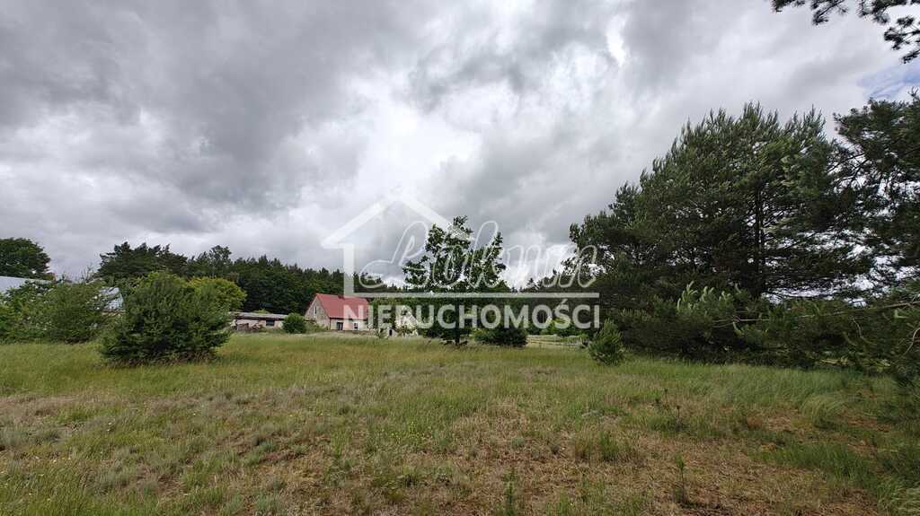 Działka gospodarstwo 2,25&nbsp;ha, Nowogard - zdjęcie 5