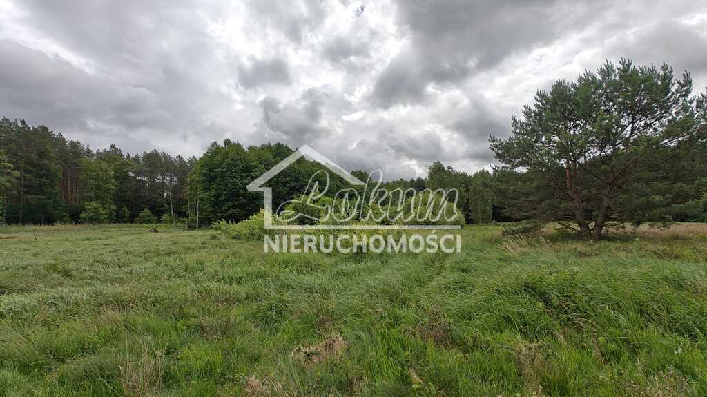 Działka gospodarstwo 2,25&nbsp;ha, Nowogard - zdjęcie 19