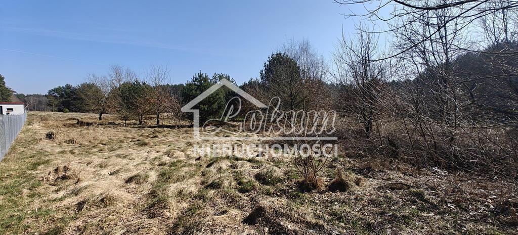 Działka gospodarstwo 2,25 ha, Nowogard - zdjęcie 8