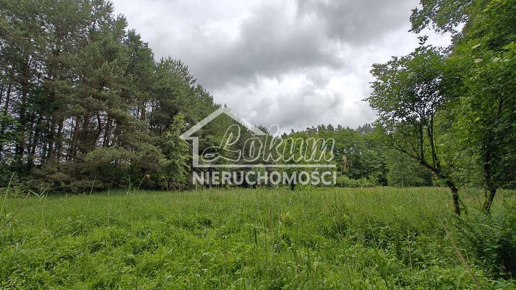 Działka gospodarstwo 2,25&nbsp;ha, Nowogard - zdjęcie 16