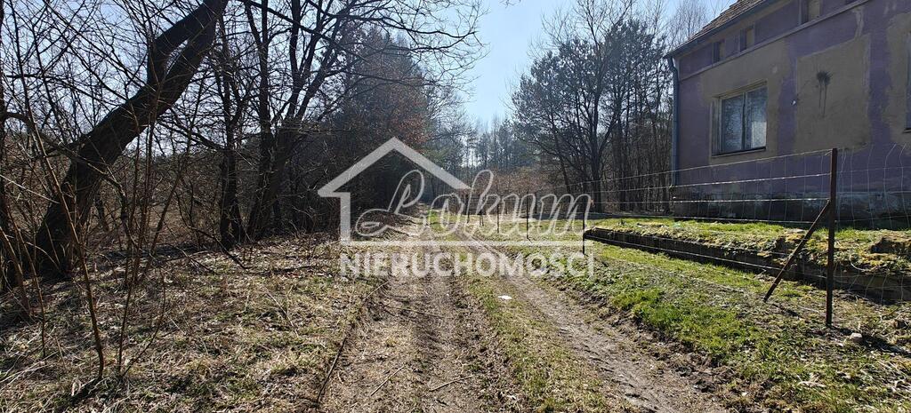 Działka gospodarstwo 2,25 ha, Nowogard - zdjęcie 7