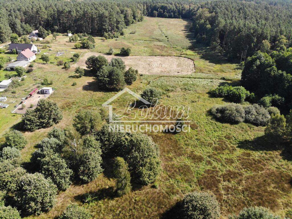 Działka gospodarstwo 2,25 ha, Nowogard - zdjęcie 3