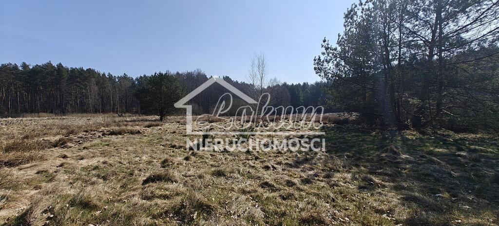 Działka gospodarstwo 2,25 ha, Nowogard - zdjęcie 13