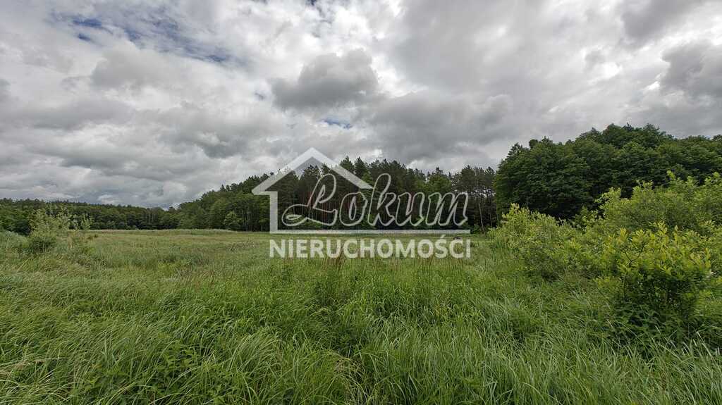Działka gospodarstwo 2,25&nbsp;ha, Nowogard - zdjęcie 17