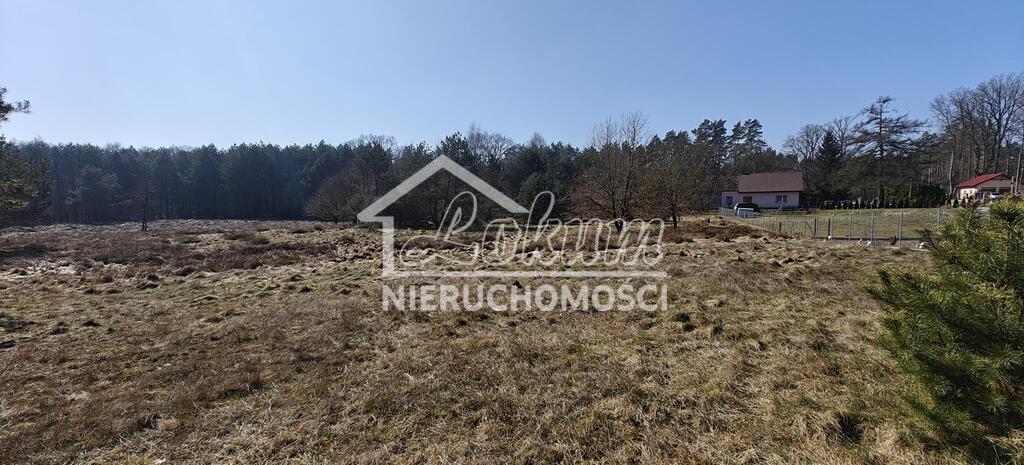 Działka gospodarstwo 2,25 ha, Nowogard - zdjęcie 15