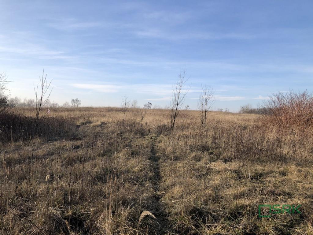 Działka inwestycyjna 2,80 ha, Bytom, Węglowa - zdjęcie 4