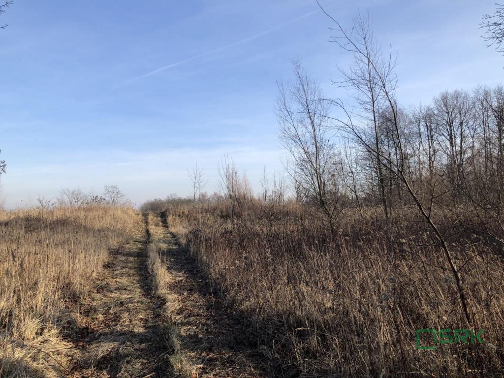 Działka inwestycyjna 2,80 ha, Bytom, Węglowa - zdjęcie 6