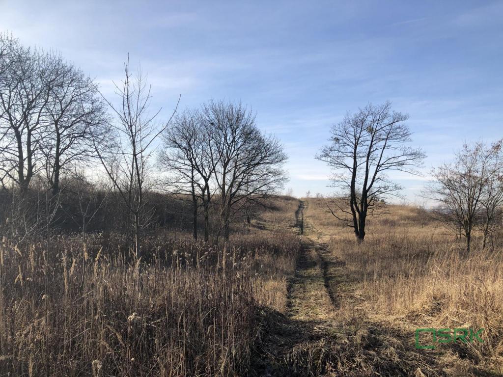 Działka inwestycyjna 2,80 ha, Bytom, Węglowa - zdjęcie 5