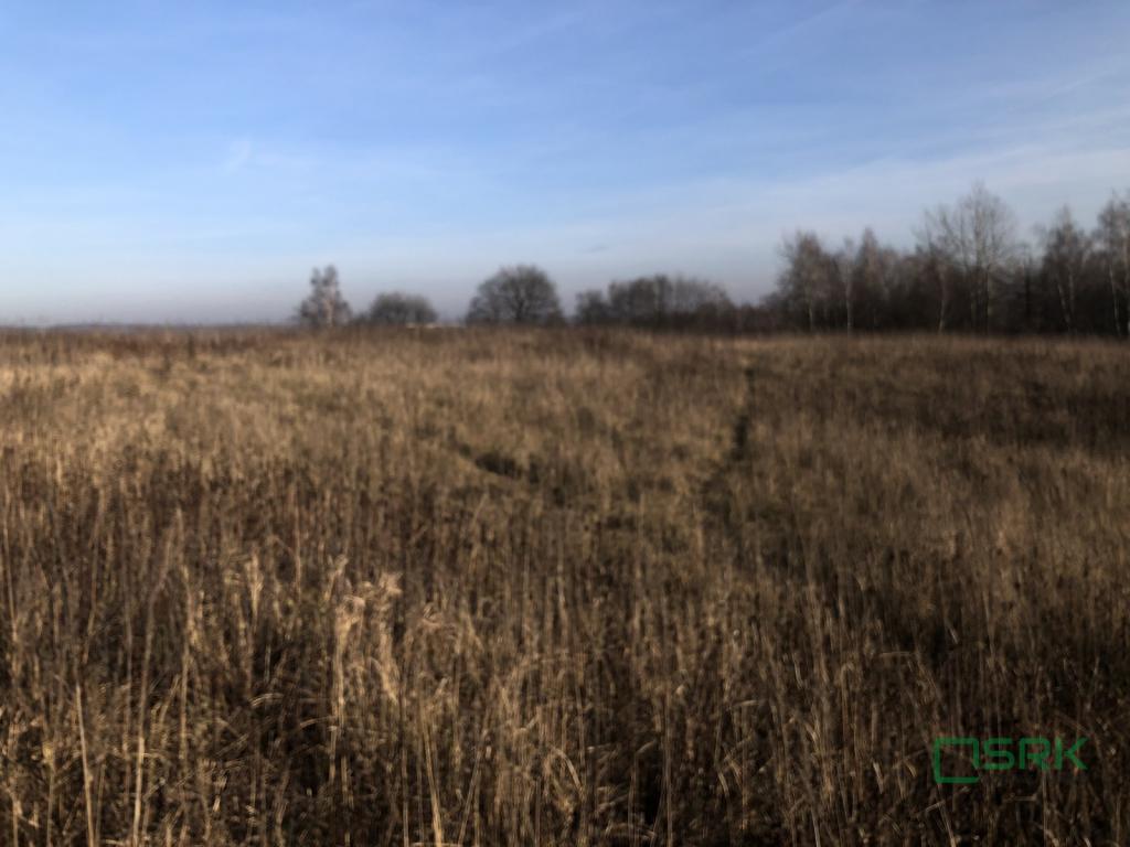 Działka inwestycyjna 2,80 ha, Bytom, Węglowa - zdjęcie 3