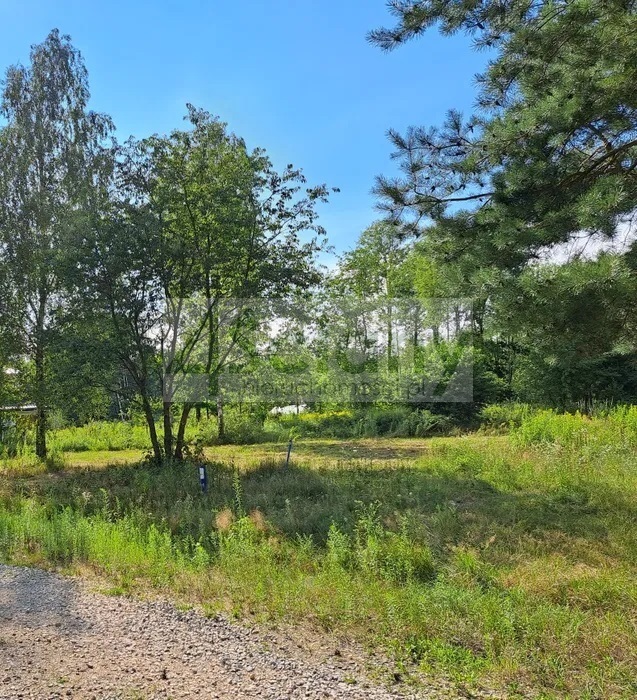 Działka budowlana 3000 m², Radonie - zdjęcie 2