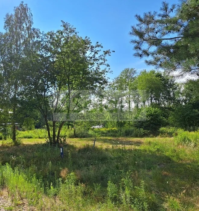 Działka budowlana 3000 m², Radonie - zdjęcie 1