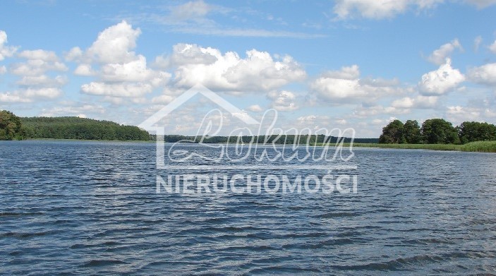 Działka budowlana 1115 m², Dąbrowica - zdjęcie 1