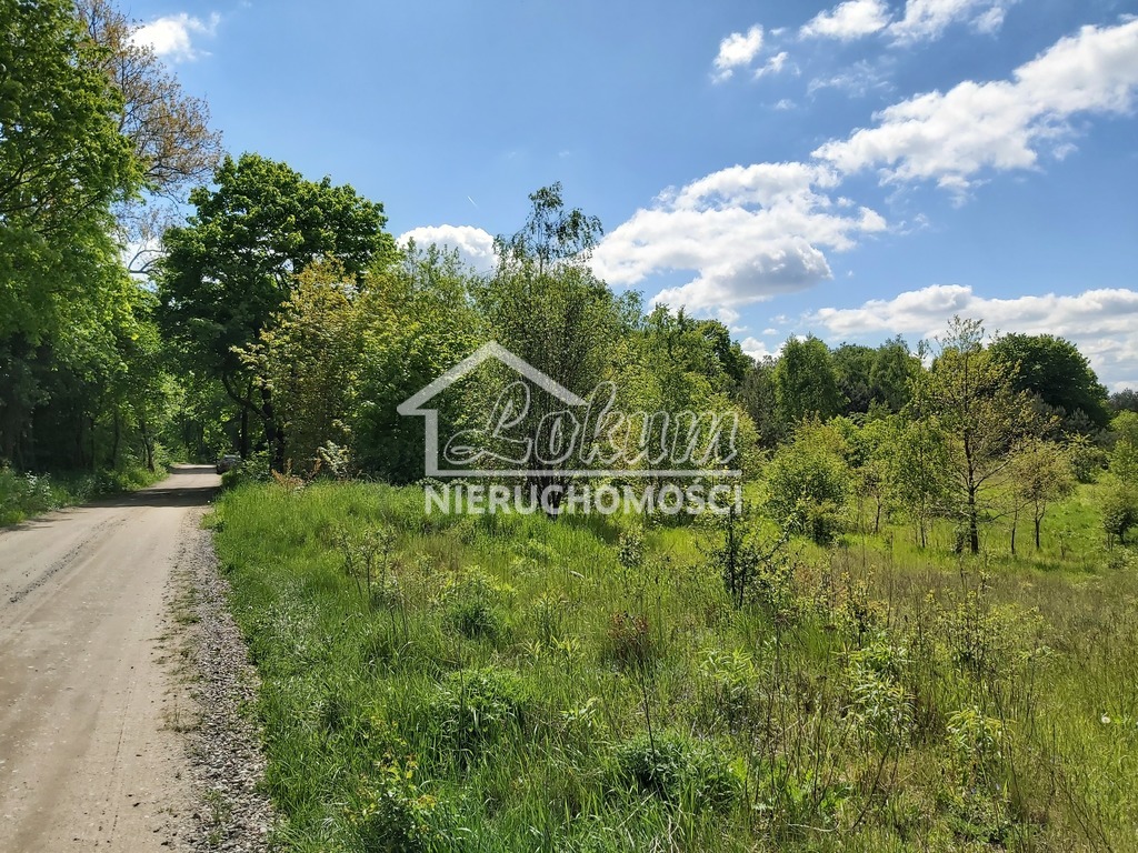 Działka budowlana 1115&nbsp;m², Dąbrowica - zdjęcie 2