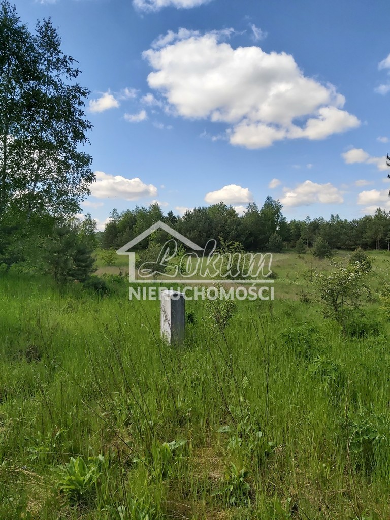 Działka budowlana 1115 m², Dąbrowica - zdjęcie 3