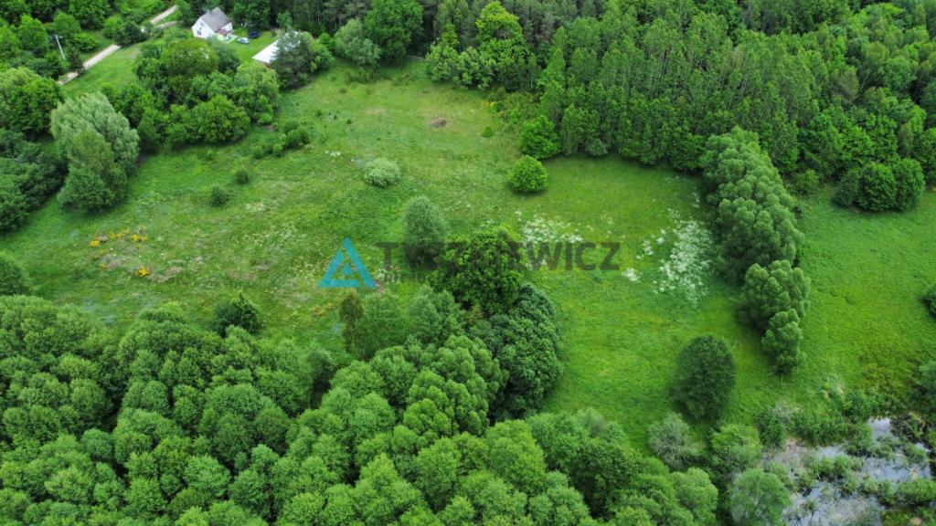 Atrakcyjna działka rolna w malowniczej okolicy - zdjęcie 8
