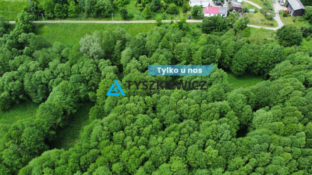 Atrakcyjna działka rolna w malowniczej okolicy - zdjęcie 1
