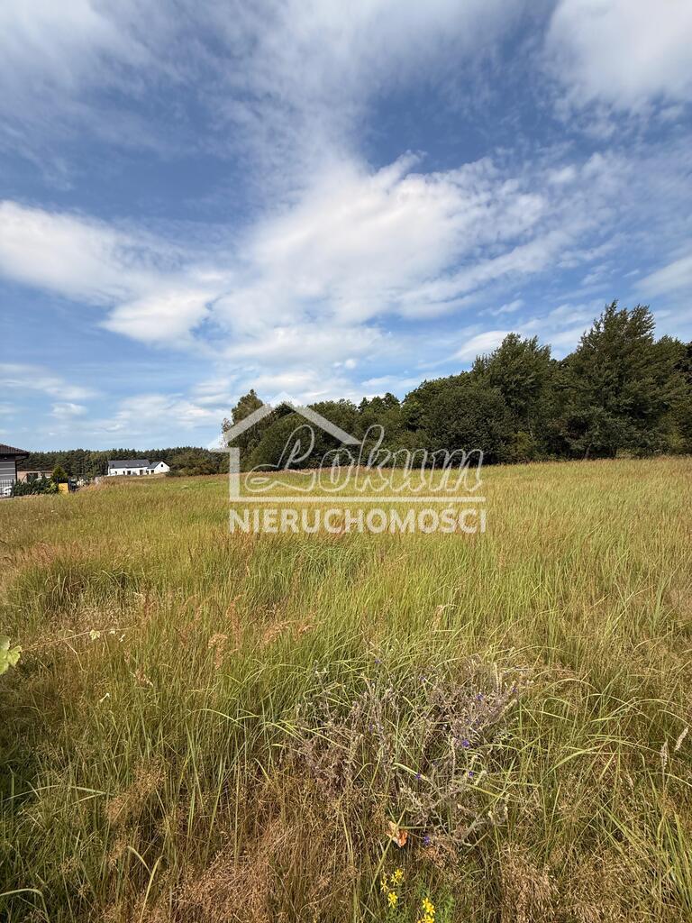 Działka budowlana 3000&nbsp;m², Sławoszewo - zdjęcie 7