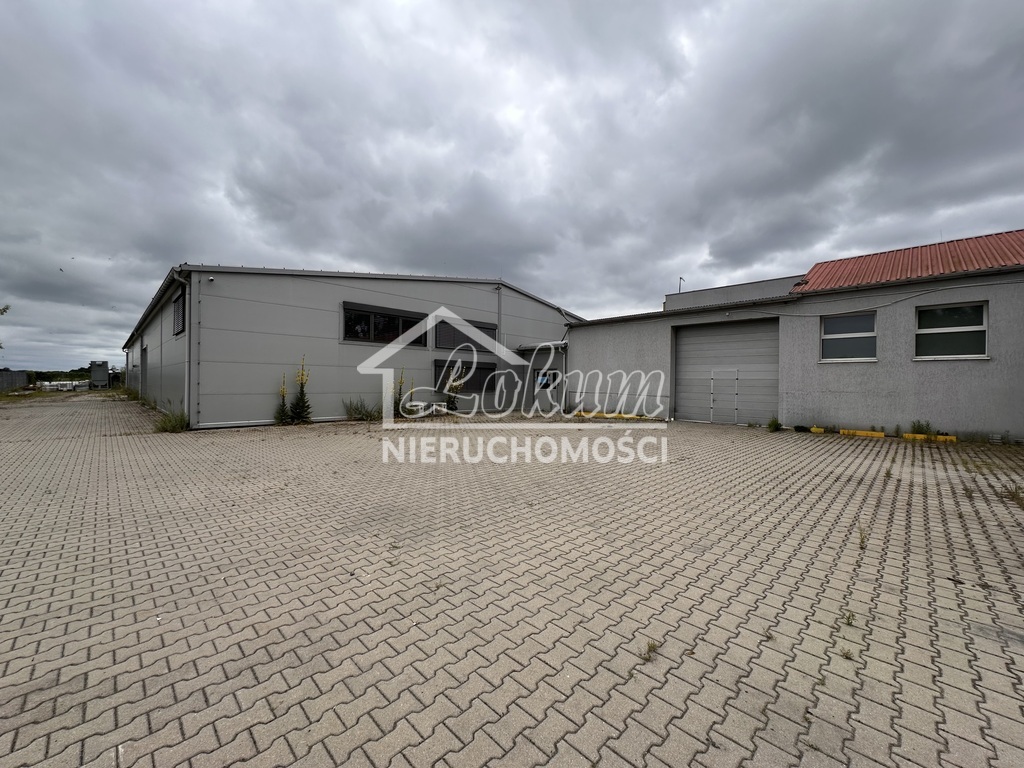 Magazyn na sprzedaż, 3186,81&nbsp;m², Komarowo - zdjęcie 3