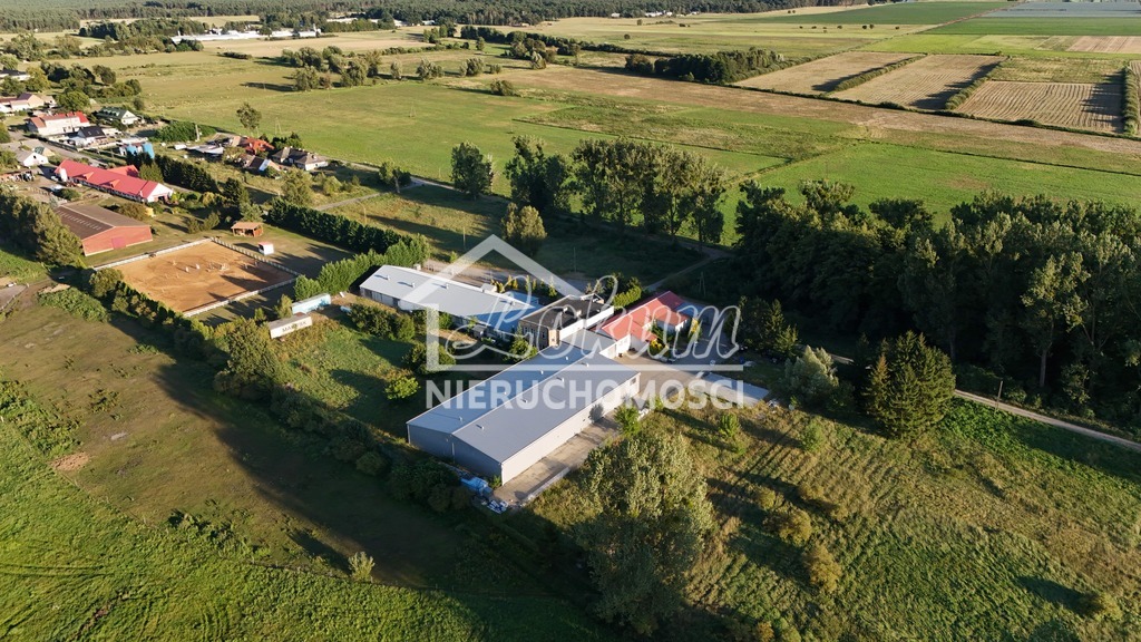 Magazyn na sprzedaż, 3186,81&nbsp;m², Komarowo - zdjęcie 17