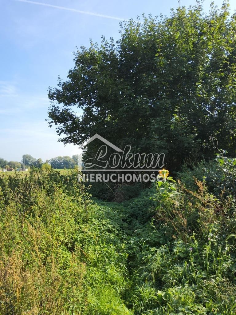 Działka budowlana 800&nbsp;m², Buk - zdjęcie 2