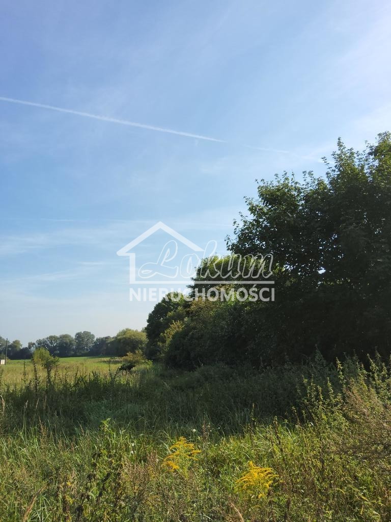 Działka budowlana 800&nbsp;m², Buk - zdjęcie 3