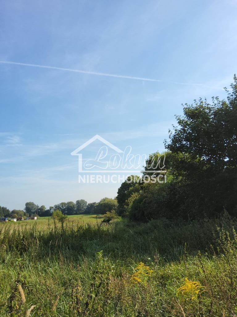 Działka budowlana 800&nbsp;m², Buk - zdjęcie 1