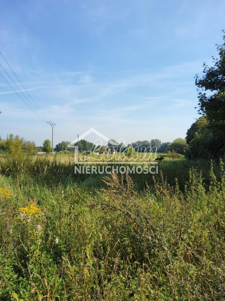 Działka budowlana 800&nbsp;m², Buk - zdjęcie 4