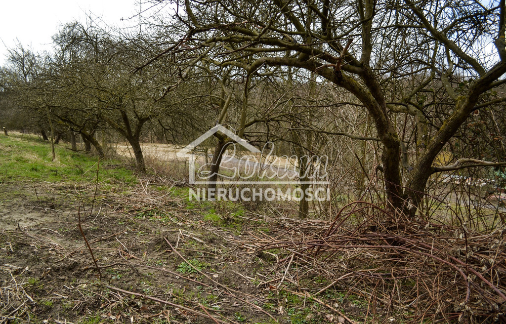 Działka rolna 5811&nbsp;m², Szczecin - zdjęcie 6