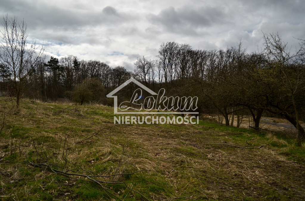 Działka rolna 5811 m², Szczecin - zdjęcie 5