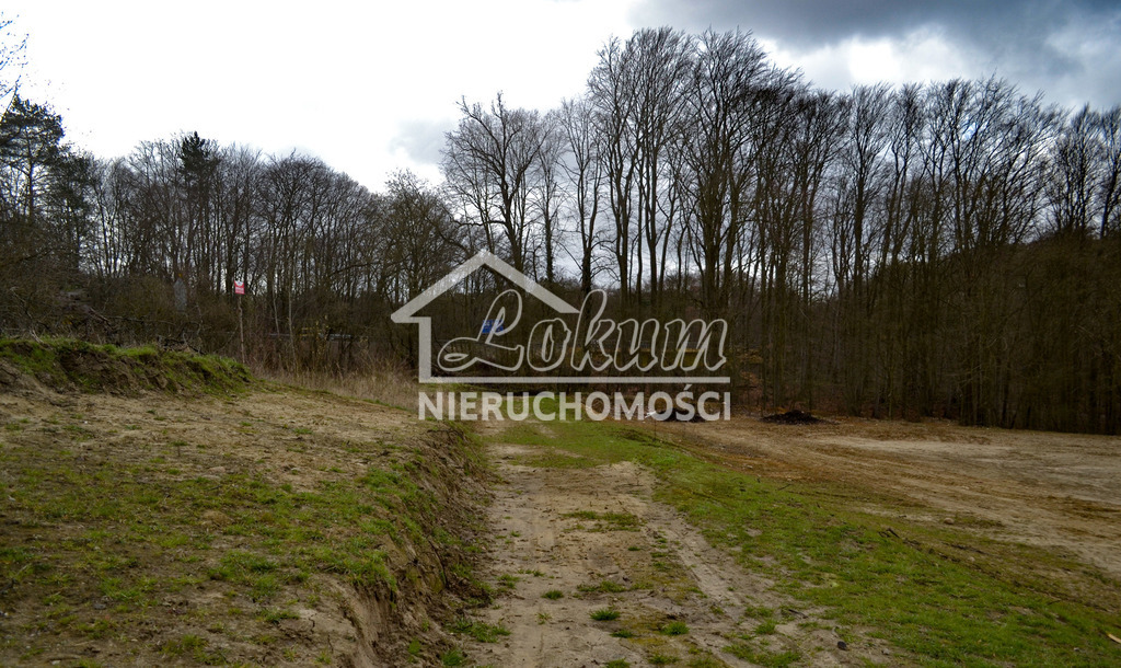 Działka rolna 5811&nbsp;m², Szczecin - zdjęcie 4