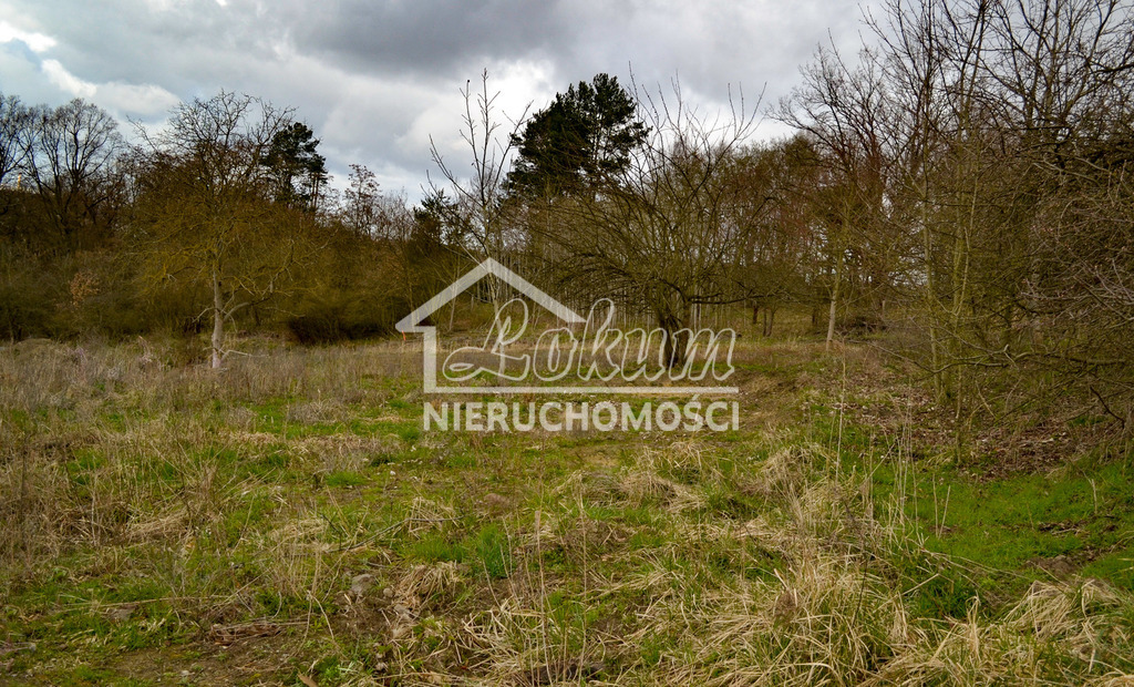 Działka rolna 5811&nbsp;m², Szczecin - zdjęcie 3