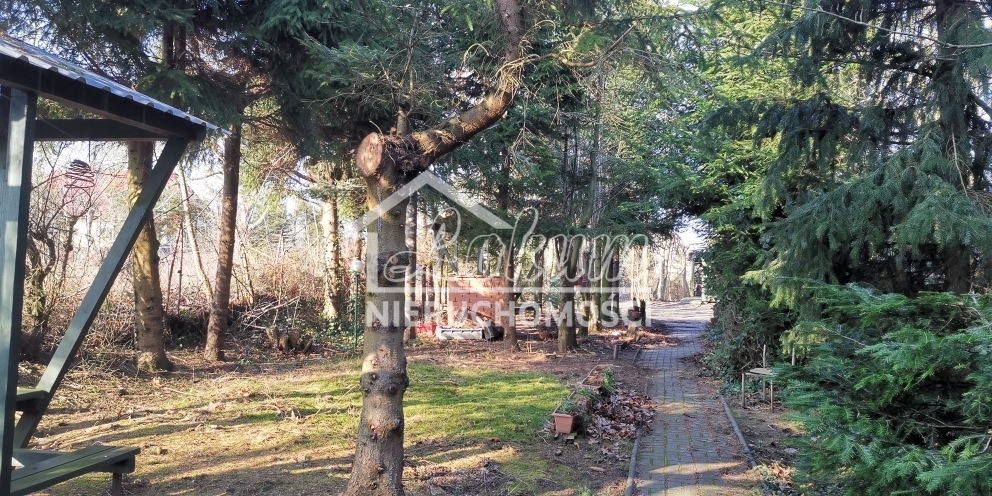 Działka budowlana 2313 m², Rusinowo - zdjęcie 1