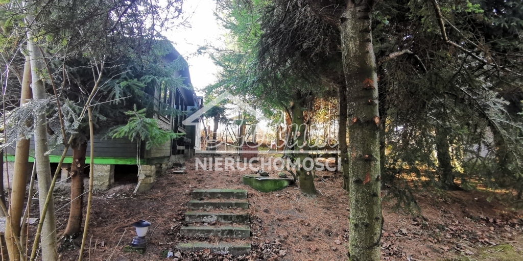 Działka budowlana 2313 m², Rusinowo - zdjęcie 7